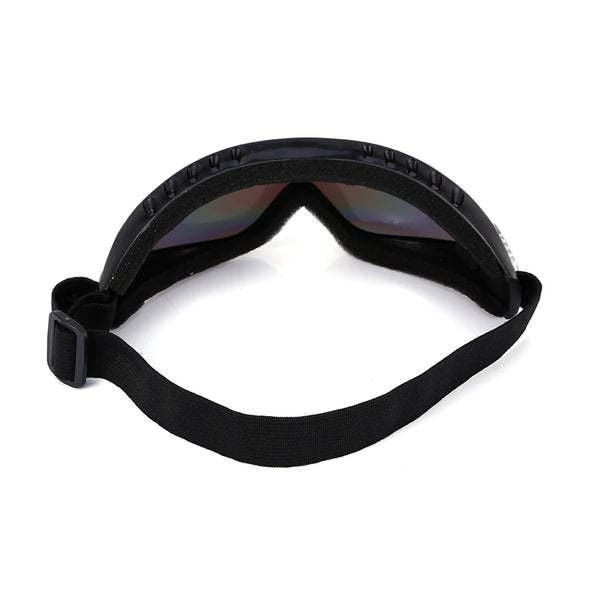 Ski goggles detail view